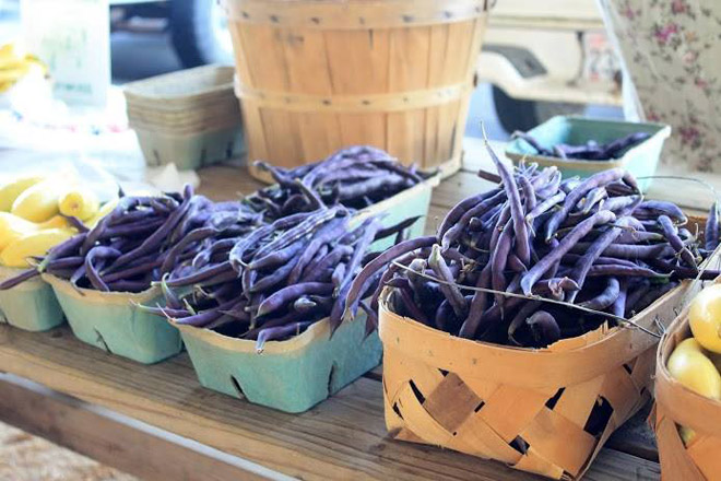 DeKalb County Farmers Market