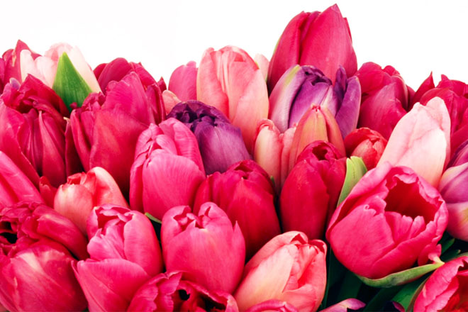 Eddie’s Garden Center & Florist