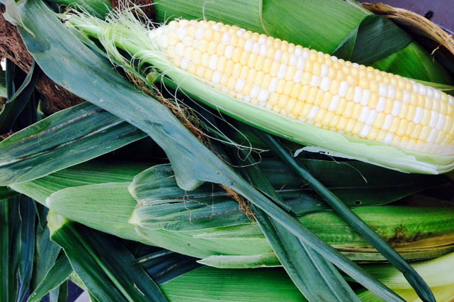 Rainsville Farmers Market