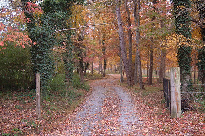 Wilderness of Mentone