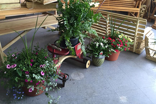 Wilson’s Lawncare, Landscaping, and More