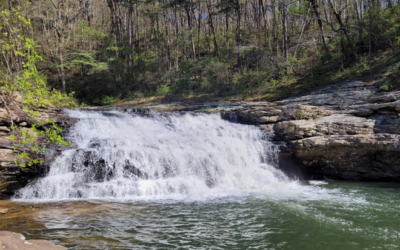 Congo Nature Preserve