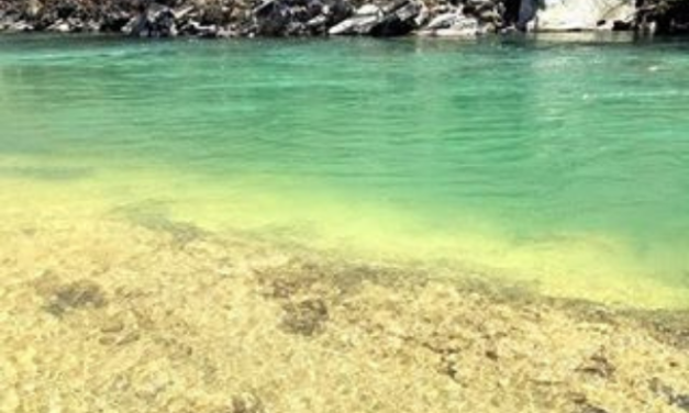 Chill Out in DeKalb: Top Spots to Beat the Summer Heat