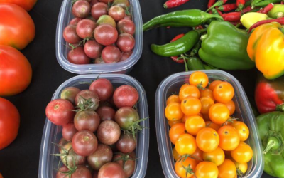 Fort Payne Family Farmers Market