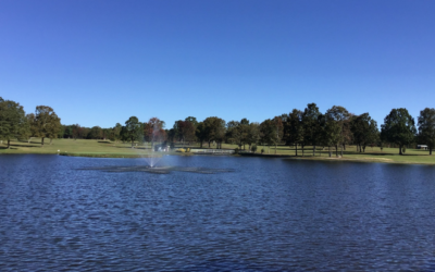 Little Mole Country Club and Campground