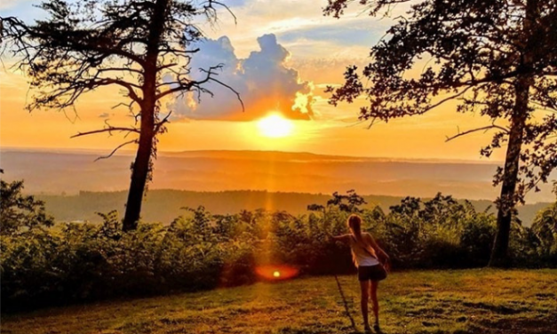 Some of the Most Unique Stays in DeKalb County