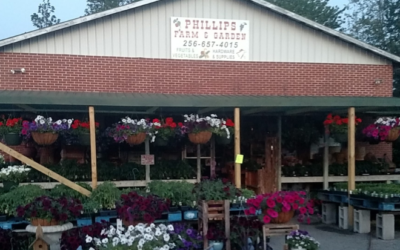 Phillips Farm & Garden