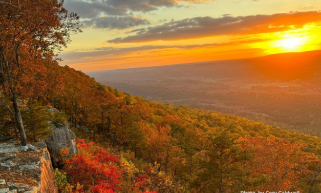 A Fall Drive on Lookout Mountain Parkway